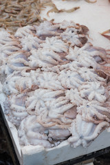 Fresh fish at the Naples market
