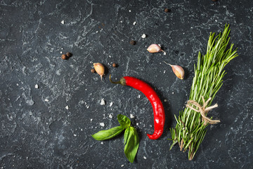 Rosemary, chilli pepper, peppercorn and garlic on dark stone table. Ingredients.