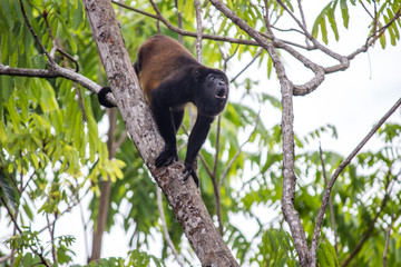 Costa Rica