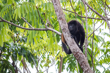 Costa Rica