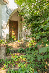 Fototapeta na wymiar vegetation seizing the entrance of an abandoned house