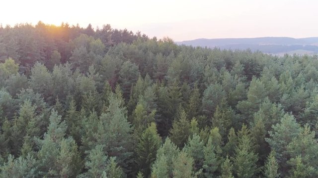 Drohnenaufnahmen Natur