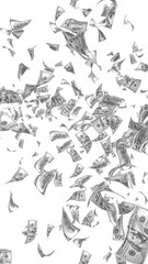 Flying dollars banknotes isolated on white background. Money is flying in the air. 100 US banknotes new sample. Black and white style. 3D illustration