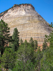 Obraz premium High mountain with striped surface, clear blue sky above and green trees at the bottom, West USA