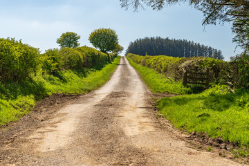 Fototapeta na wymiar Rural road near Mainstone, Shropshire, England, UK