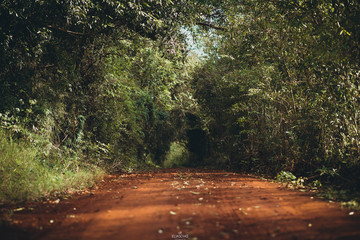 paisajes misiones argentina