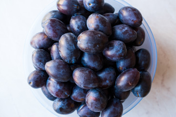 Damson Plums in Plastic Bowl.