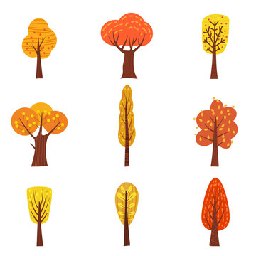 Set of autumn trees, different types, modern trend design, cute style, vector, illustration, isolated