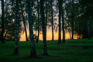 Park in golden hour light