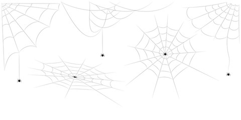 A web with a spider. Vector illustration. © 01elena10