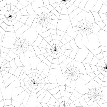 A web with a spider. Vector illustration.