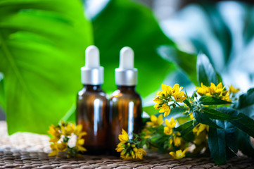 Bottles with St. John's wort extract and flowers Hypericum, organic cosmetics with herbal extracts