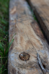 Rough cut old wooden plank resting on grass