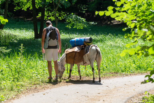 Eselwanderung in der WIldnis