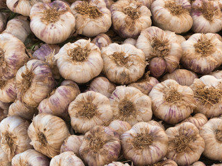 SET OF GALIC EXPOSED FOR SALE