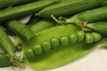 Fresh green peas in pods on white background - healthy food, subsistence farming, agriculture, vegetable growing