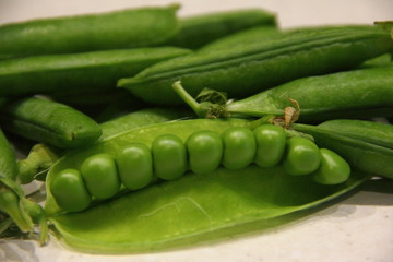 Fresh green peas in pods on white background - healthy food, subsistence farming, agriculture, vegetable growing