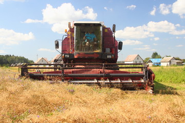 Harvesting, harvest - red-white harvester combine on the field in the village harvests wheat on the...