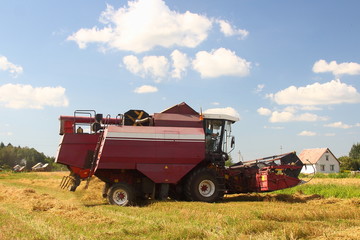 Harvesting, harvest - red-white harvester combine on the field in the village harvests wheat on the background of trees on horizon and blue sky with clouds in the summer - agriculture, farming