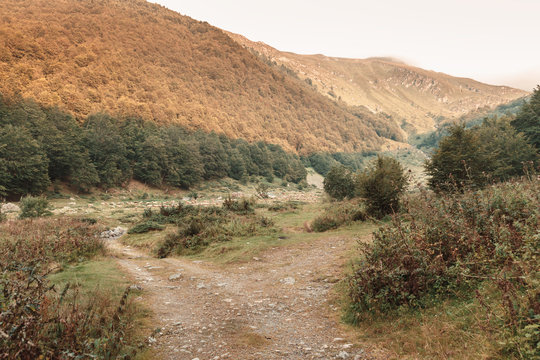 Green meadow in front of mountains of Prevalla, Prizren, Kosovo in the evening sunshine