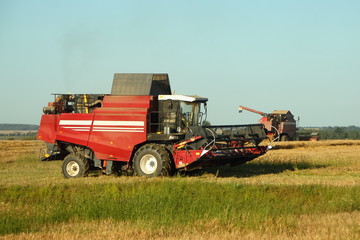 Harvesting, harvest - two red-white harvester combines on the field in the village harvests wheat...