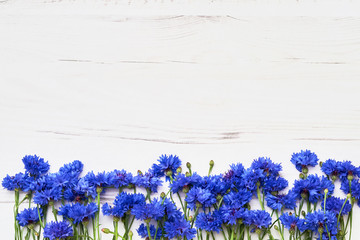 Blue Cornflower border on white wooden background. Top view, copy space. Summer background - obrazy, fototapety, plakaty