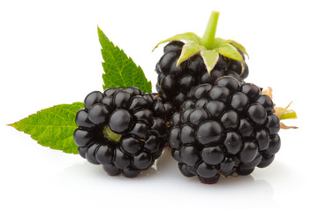 Ripe blackberries with green leaves isolated on white