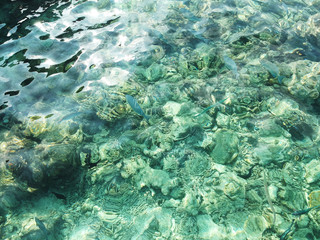 Drone aerial view set of a paradise island resort in maldives.