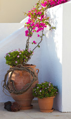 Santorini Oia Greece Holiday