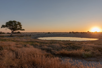 Splendid beautiful colorful sunset at waterhole with a acacia tree as silhouette, pure reflections of sky in the waterhole, Etosha National Park, Namibia