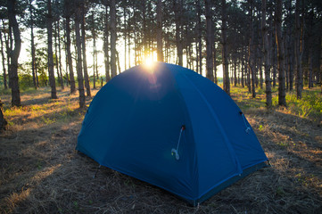 Camping tent in the forrest