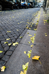 Calle de Oporto en otoño con hojas de Ginkgo biloba