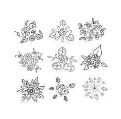 collection of botanical hand drawn doodles. meadow plants and flowers elements. pencil ink sketch of flowers and leaves. vector set of decorative elements. 