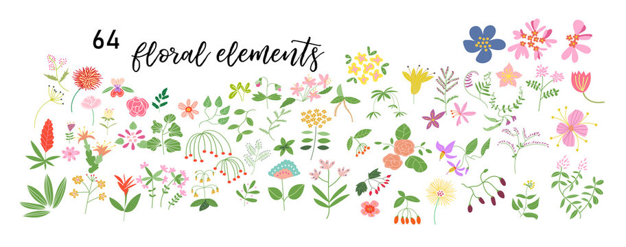 wild flower meadow illustration.vector floral elements collection. romantic hand drawn flowers and leaves collection. botanical elements collection. hand drawn floral doodles. 