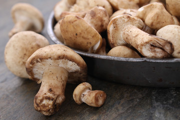 fresh uncooked mushrooms