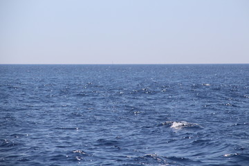 küstenlinie, see, mallorca