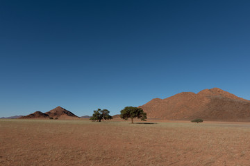 Fototapeta na wymiar Wide angle landscape shot of soft grass savannah in namib desert with red sand and hills, two green trees and hills, Namibia