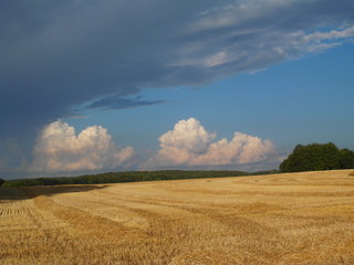 Wolken über abgeerntetem Getreidefeld