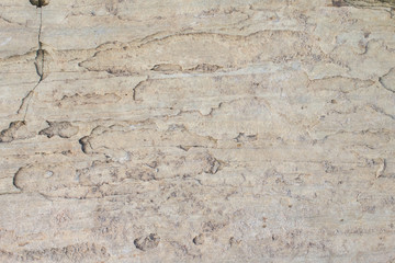 old concrete texture background