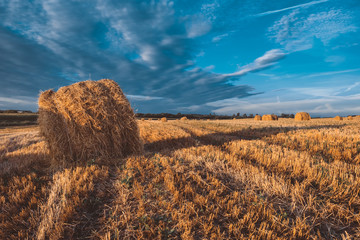 Hay bales on field in autumn cloudy weather.