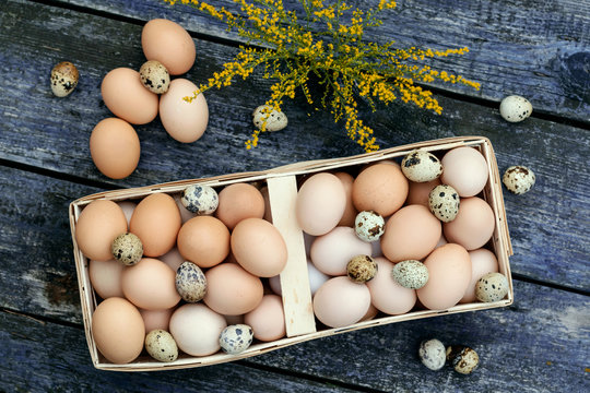 Chicken eggs and quail eggs in basket on wooden background.