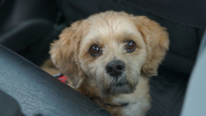 New York City tours and lights 