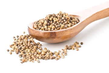 Raw, unprocessed organic coriander or cilantro seeds in wooden spoon on white