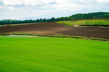 産山村　麦畑　トラクター