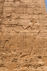 Fototapeta premium Egyptian hieroglyphs in the Valley of the Kings, Egypt, Luxor