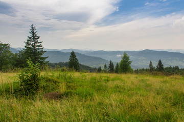 landscape of the Carpathian Mountains with tree after rain