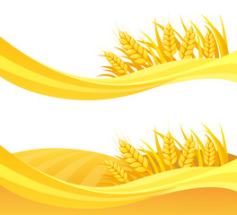 Wheat design