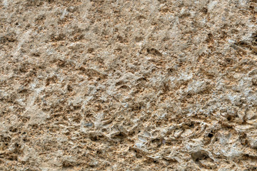 Coquina rock close-up, natural building material - limestone background