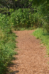 Wood chip trail in the National Wildlife sanctuary park.