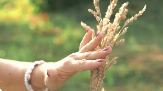 spica touch hand